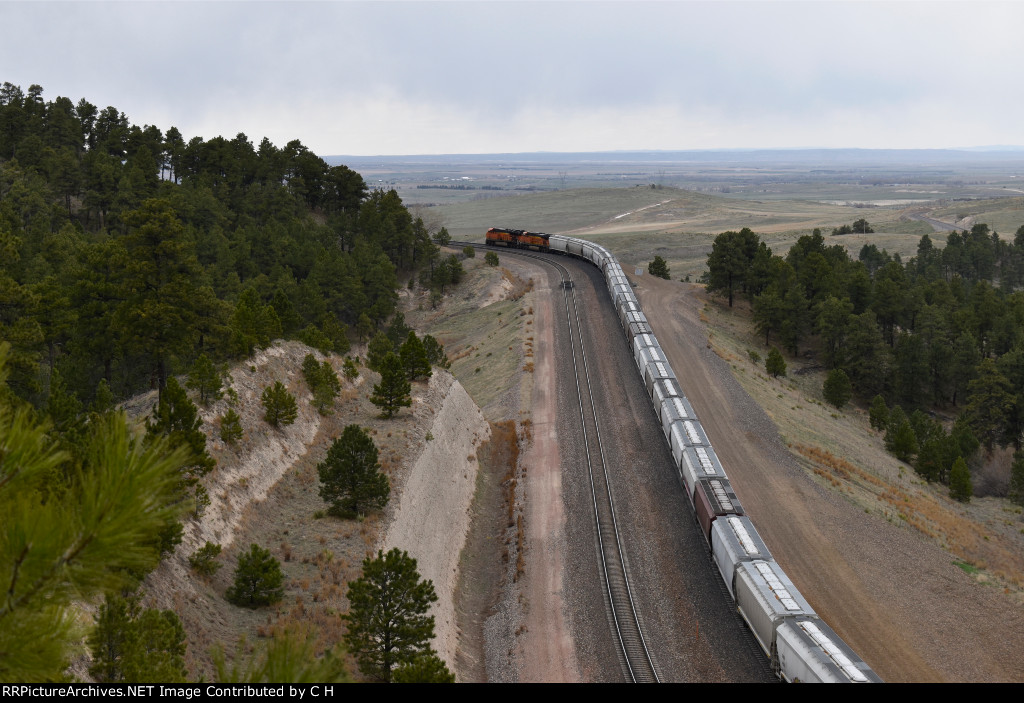 BNSF 3989/7829